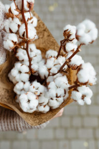 bawelna-cotton-kwiaciarnia-badylarz-lodz-manufaktura-off-piotrkowska